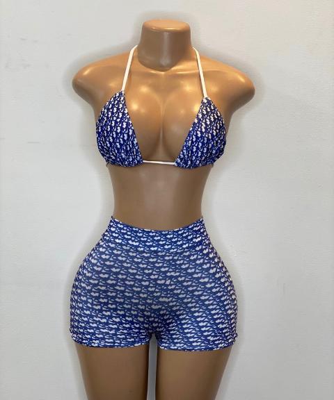 Adore Me 2 Piece Short Set