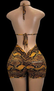 Golden Python Shorts Set